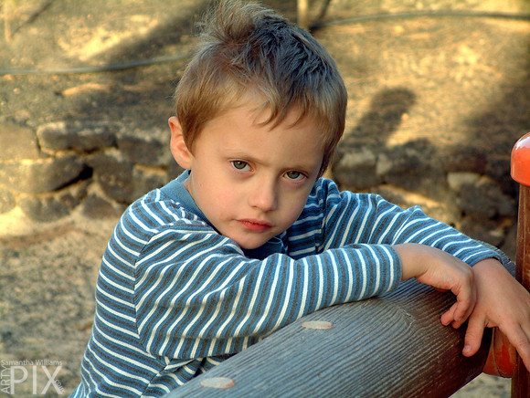 Jack ! Holiday Portrait