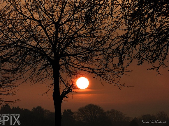 Sunrise
