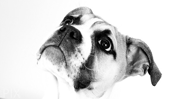 Winnie