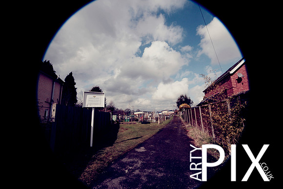 Camberley Allotment